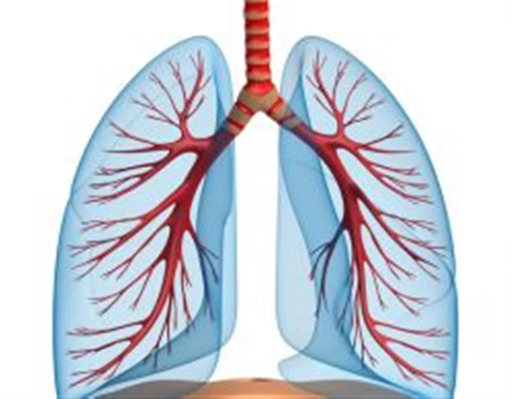 Pulmonology